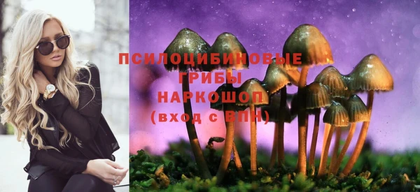 а пвп мука Алзамай