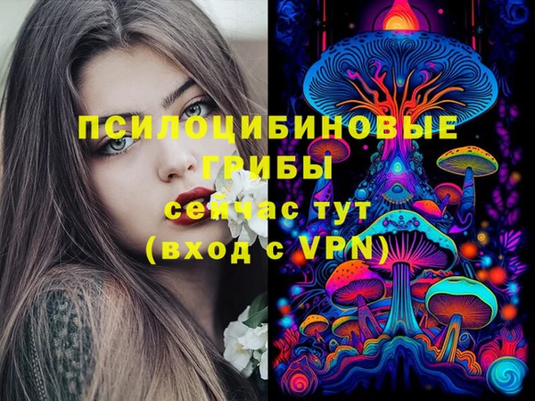 молекула духа Алексин