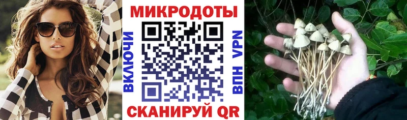 Псилоцибиновые грибы Psilocybine cubensis  Сясьстрой 